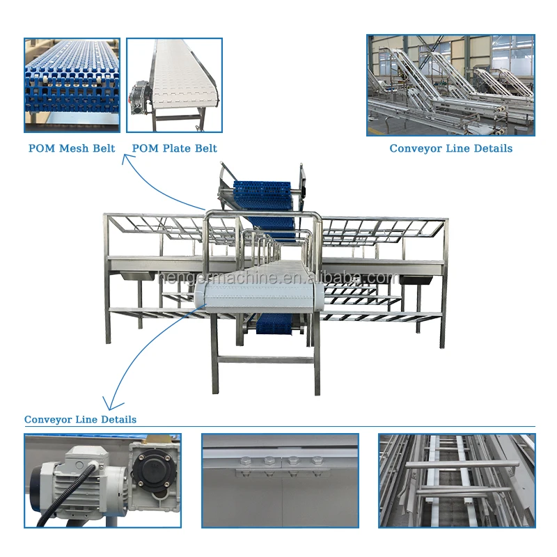 Full Compact Set Automatic Meat Beef Cut Process Poultry Broiler Chicken Slaughter System Belt Conveyor for Plant Slaughterhouse