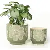 Modern Green Floral