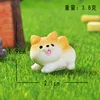 Corgi-Mini
