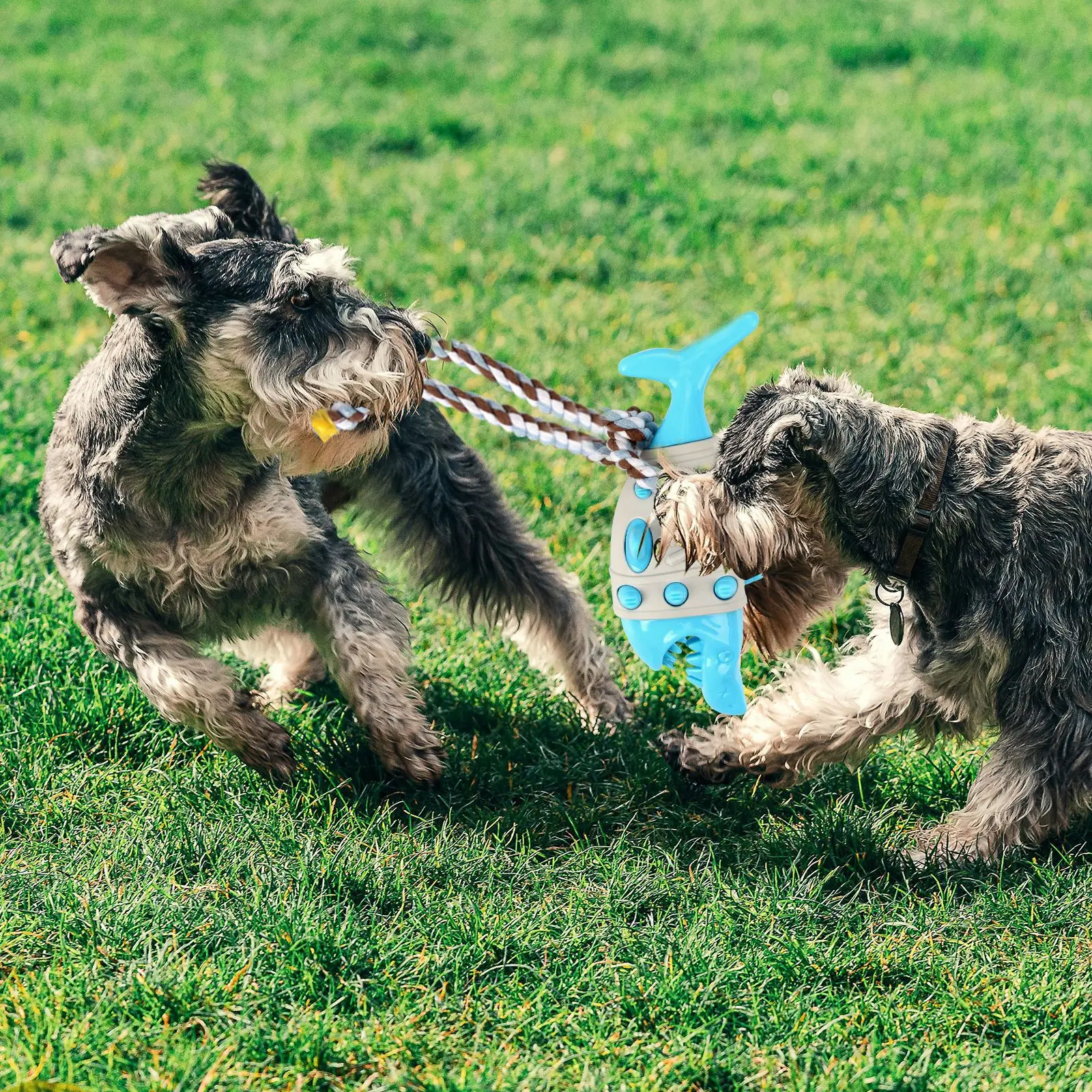 Interactive Squeaky Shark Simulation Dog Toy Durable TPR Material Bite-Resistant Rope Chewing Clean Grinding Stick Pet Dog Toys