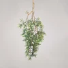 verde 5#