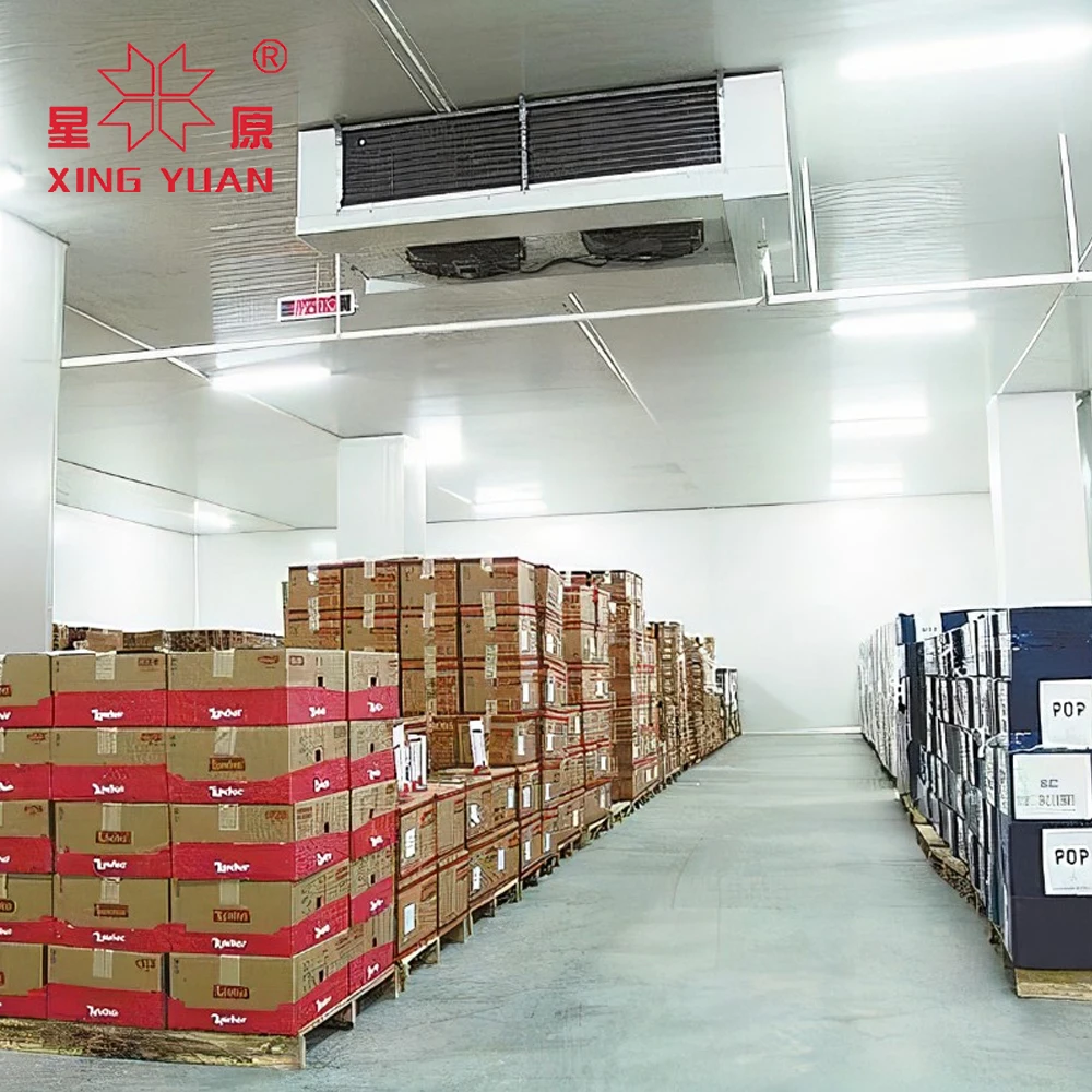 Cold Storage Room  Freezer Cold Room Manufacturer Cold Storage 1000 Ton Capacity