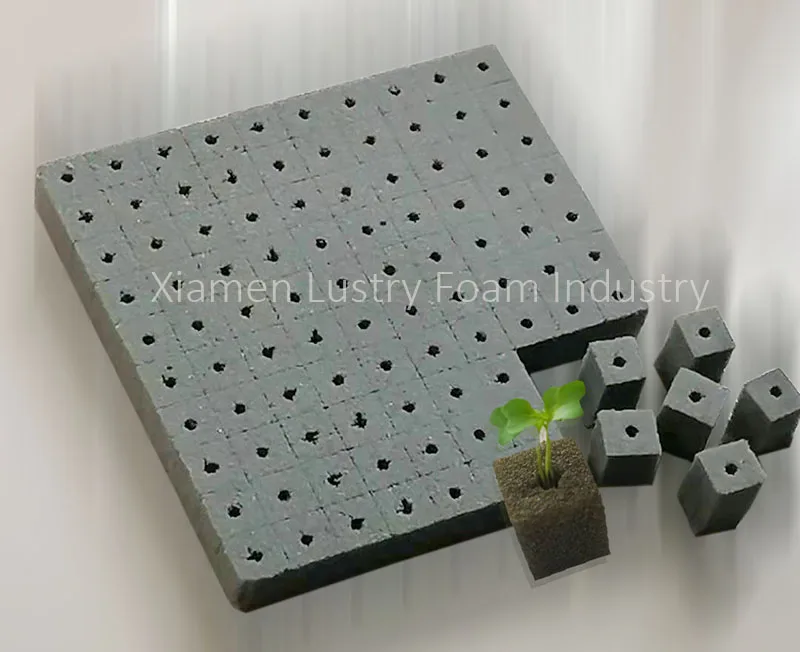 rootmedia4800.jpg