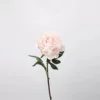 Pivoine moyenne (rose clair)