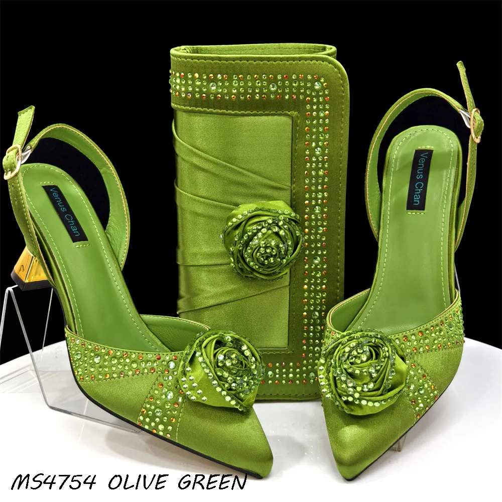 Italian Shoes Bag Set