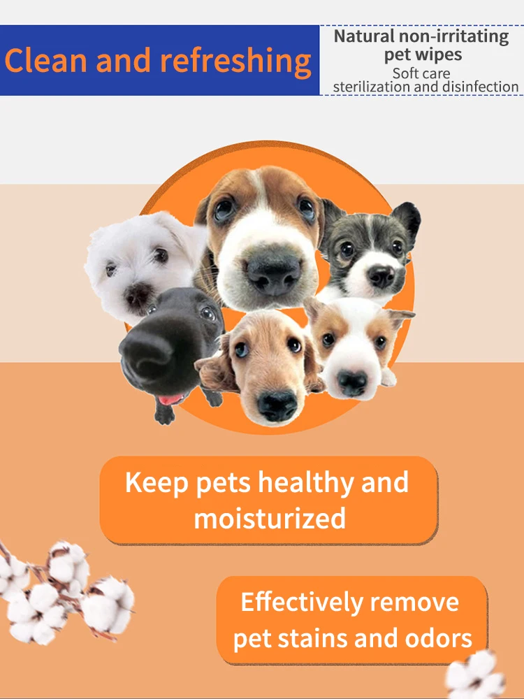 Anti Bacterial Pet Wipes Organic Oem For Dogs Wet Tissue No Harsh