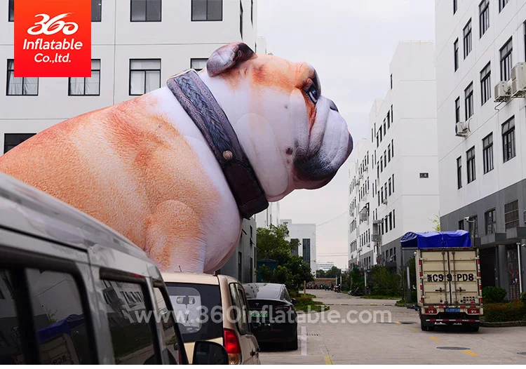 6m Height Animal Inflatables Dog Cartoon Custom Inflatables Inflatable ...