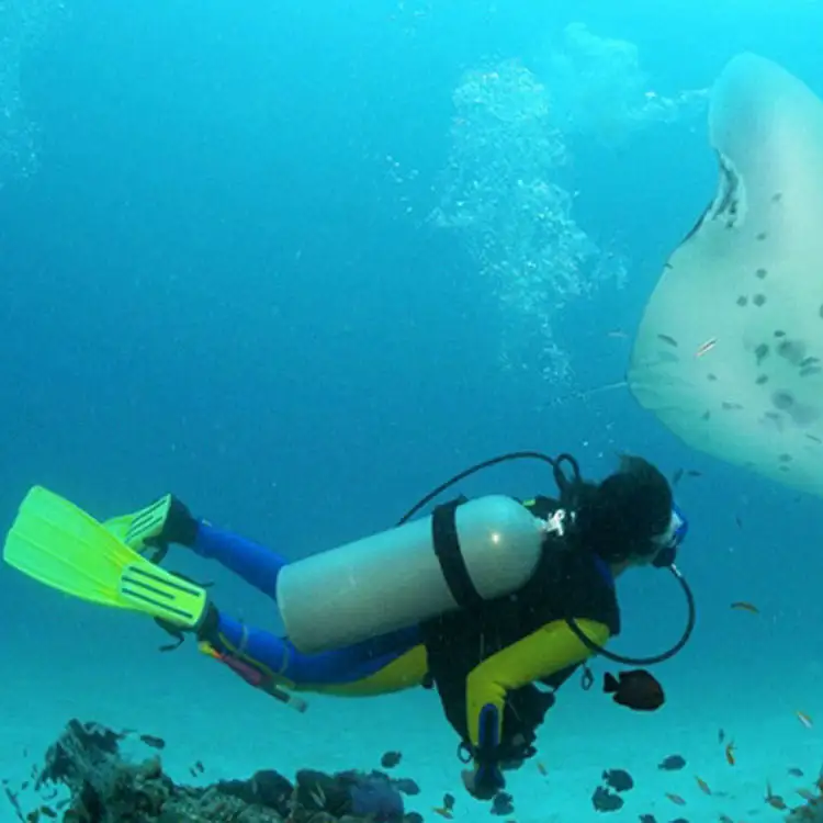 Diving Gas Cylinder Dot3al Aluminum Oxygen Tank Scuba Tank Diving Tank