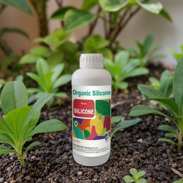 High-concentration Highly-effective Agricultural Organic Silicon, Enhancing Efficacy / Controlling Weeds / Penetrating