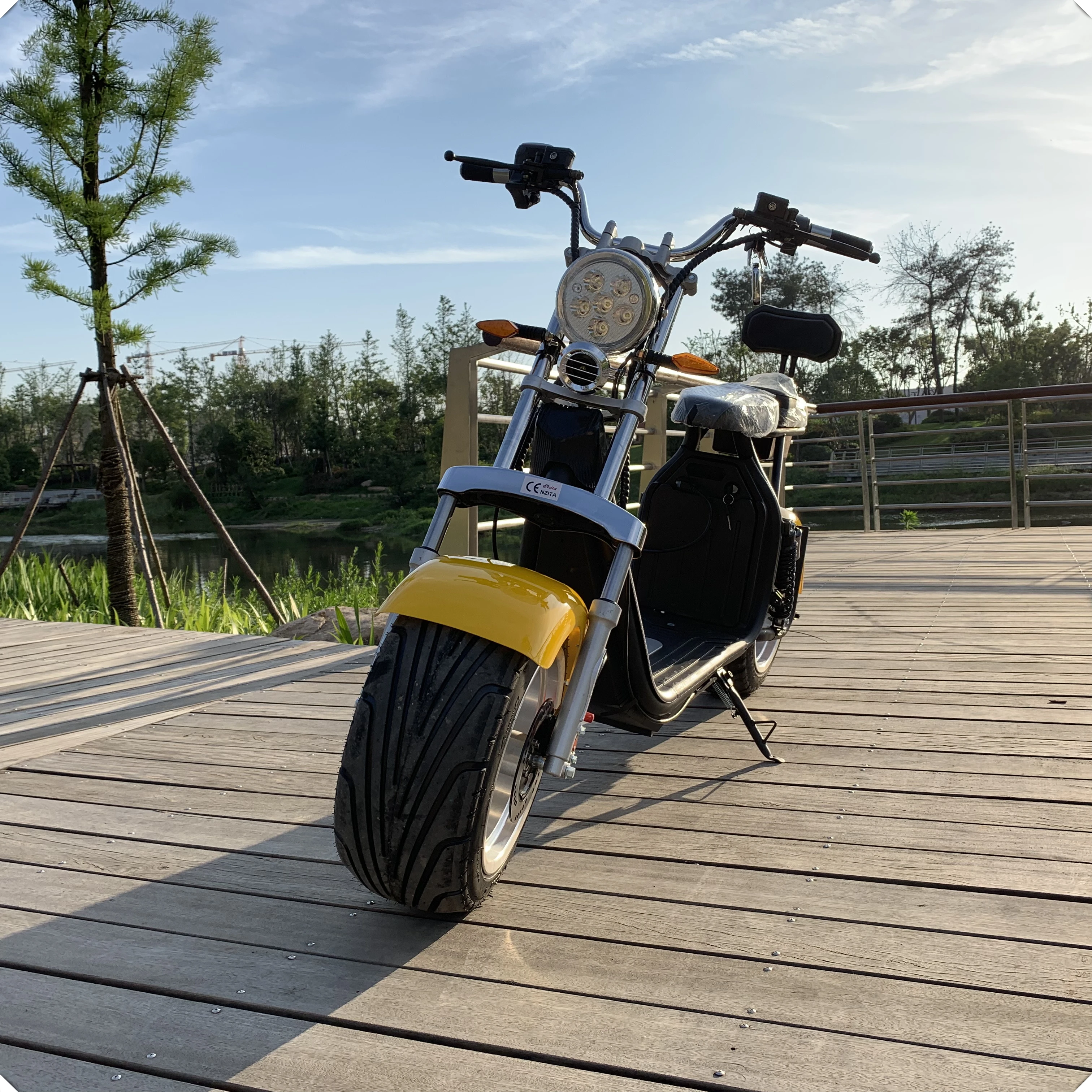 2025 Free Shipping New Arrival Disc Brake Electric Scooters for Men and Women With Steel Citycoco From Yidegreen Scooter Factory