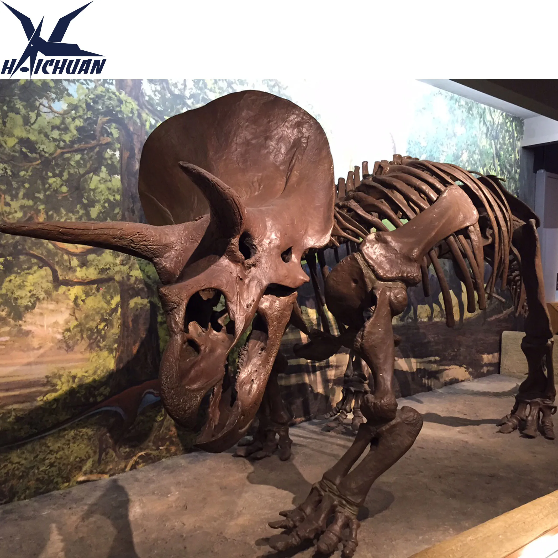 Innetur Utennetur Museum Fossil Dekorasjon Livsstørrelse Fiberglass Dinosaur Triceratops Skjelett Replikaer Modell