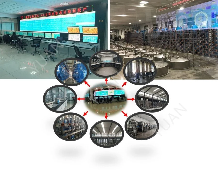 High Performance Fully Automatic Control High Efficiency Glucose Production Line