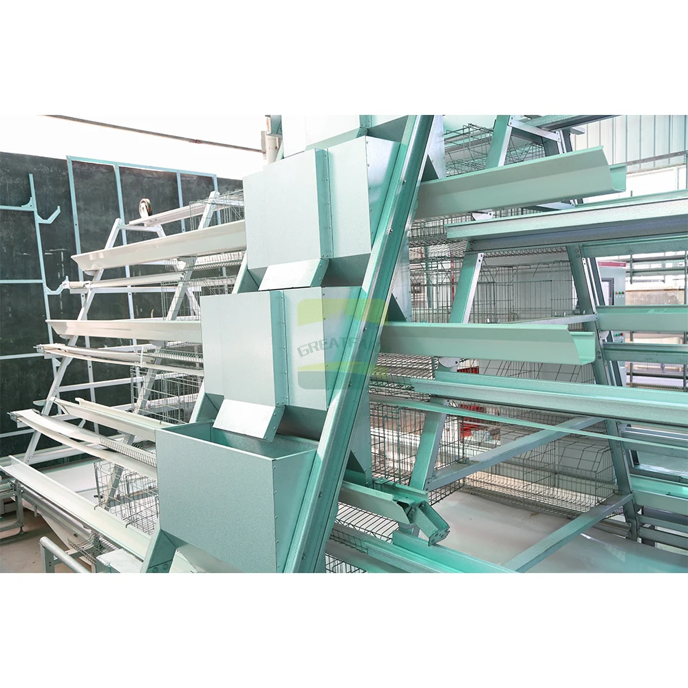 Galvanized Automatic Farming Equipment Type a Egg Laying Hens  Chicken Layer Battery Steel Cages