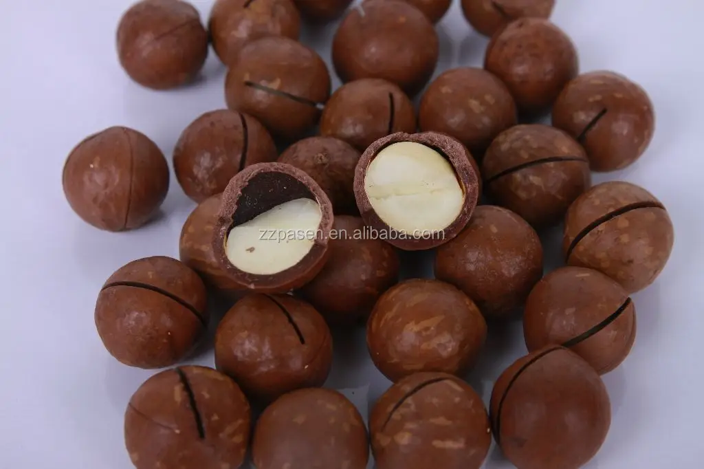 Fully Automatic Macadamia Nut Saw Machine Macadamia Nut Opening Machine Electric Macadamia Nut Cracker Machine