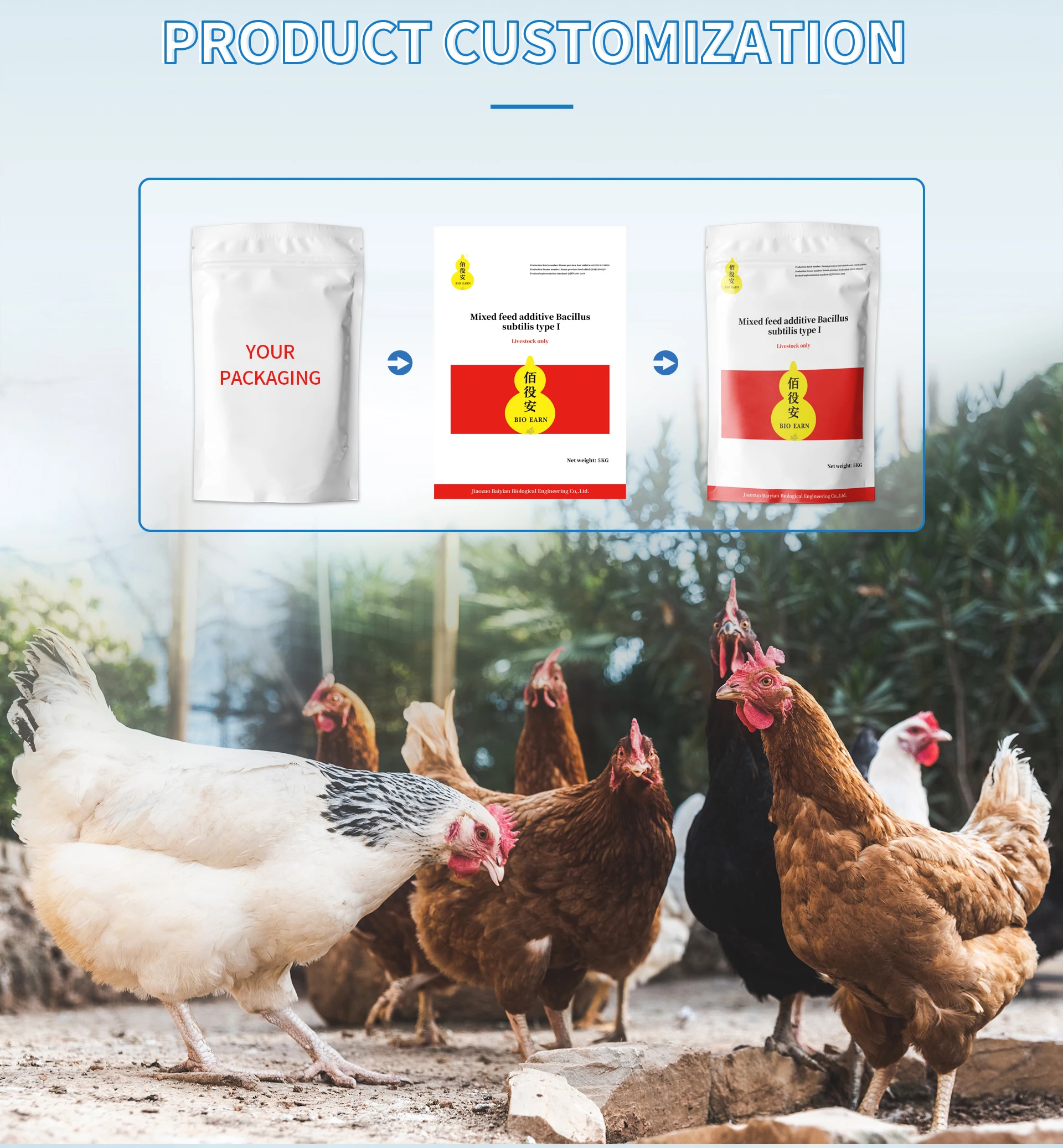 Lysine Animal Feed Additive Amino Acid Feed Additive Poultry Feed