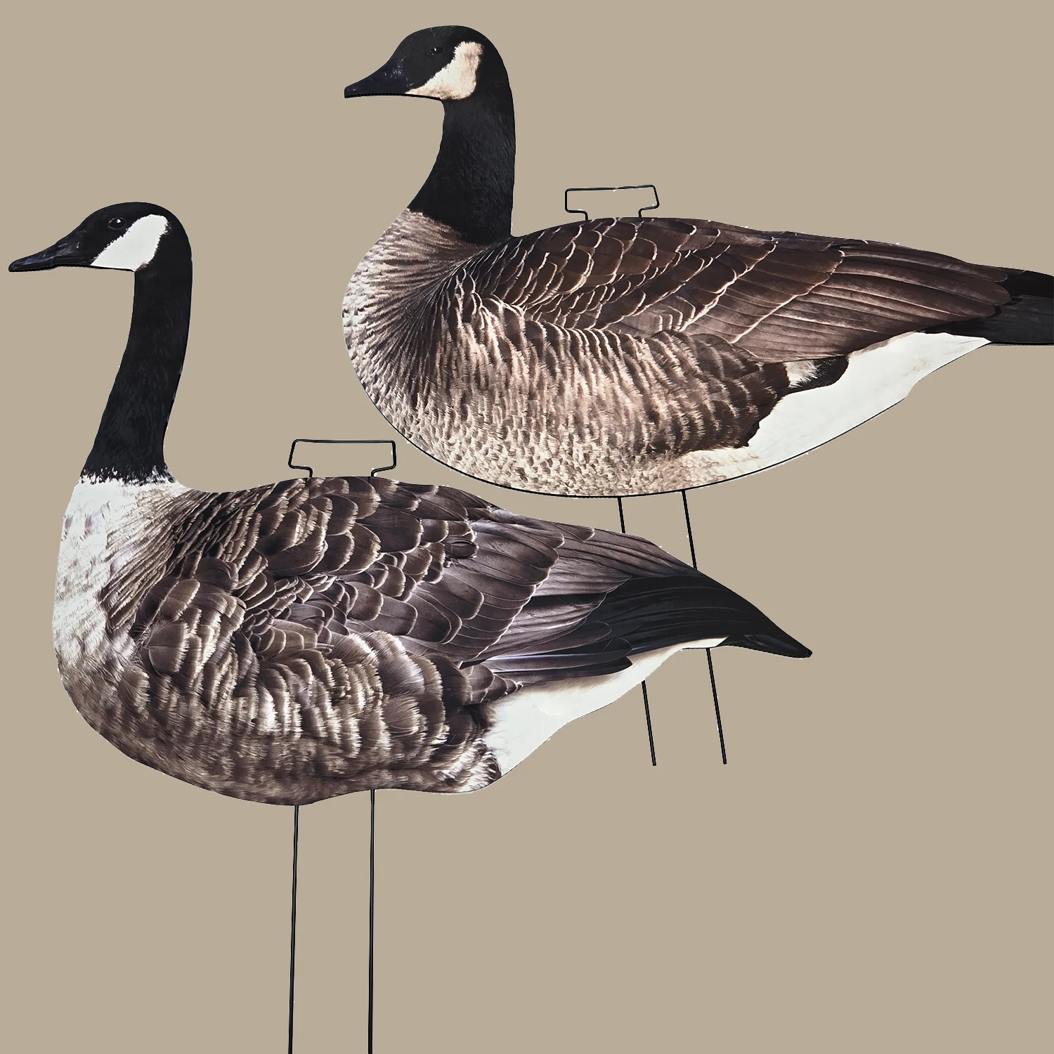Multiple Style UV Silk Screen Printing Light Weight Canada Silhouette Goose Decoy for Hunting