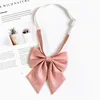 Pink bow tie