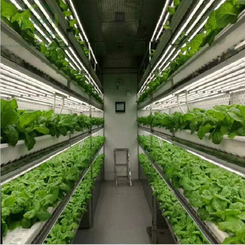 Mushroom Farming Smart Growing Container for Sale