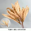 Bird's Nest Leaf, Brown