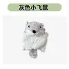 กระรอกบินสีเทา [มีหัวส่งเสียงดัง]