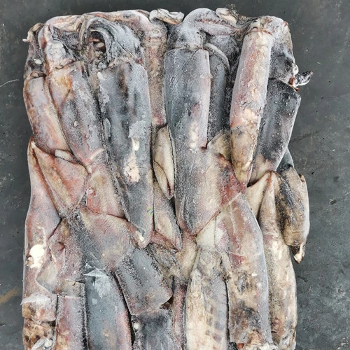 秘鲁鱿鱼整圆15千克块冷冻鱿鱼