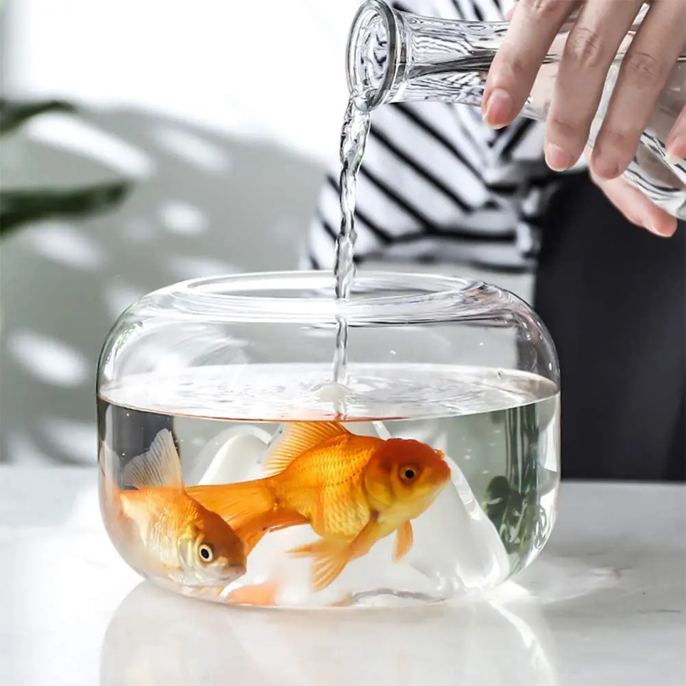 Vaso Per Pesci In Vetro Yardwe - Sfera Decorativa Per Acquario, Desktop Casa/Ufficio - Foto 7