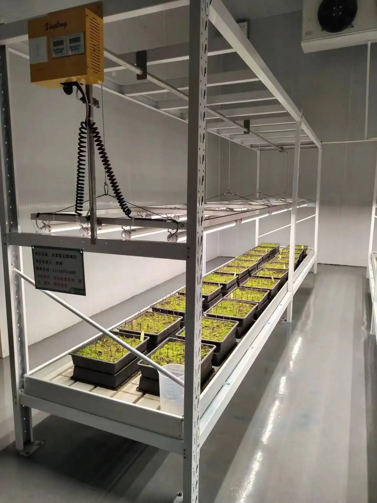 Vertical Farming System Agriculture Hydroponic Flow Trays Grow Rack ...