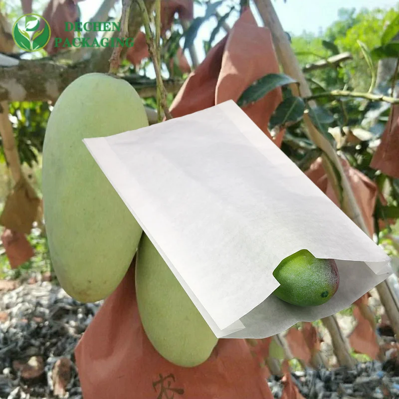 Plante verte de sac de protection de raisin de jardin s'élevant pour des sacs de bache de mangue