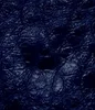6307#