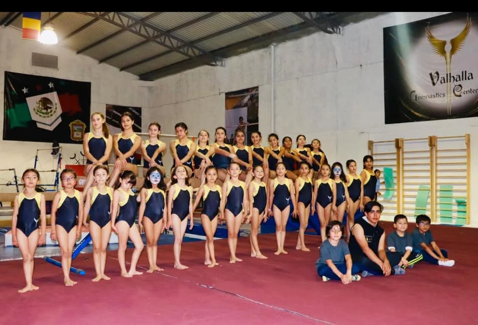 Wholesale Mesh Dance Leotard Costume Sleeveless Sublimation Ballet