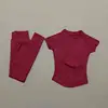 Winter Berry red