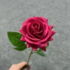 สีแดง