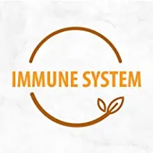 Vitamin D3 & K2 5000 IU Liquid Drops Oil For Support Immune System Vitamins And Supplements