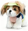 Shih Tzu - White