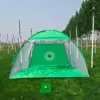 3 meters green