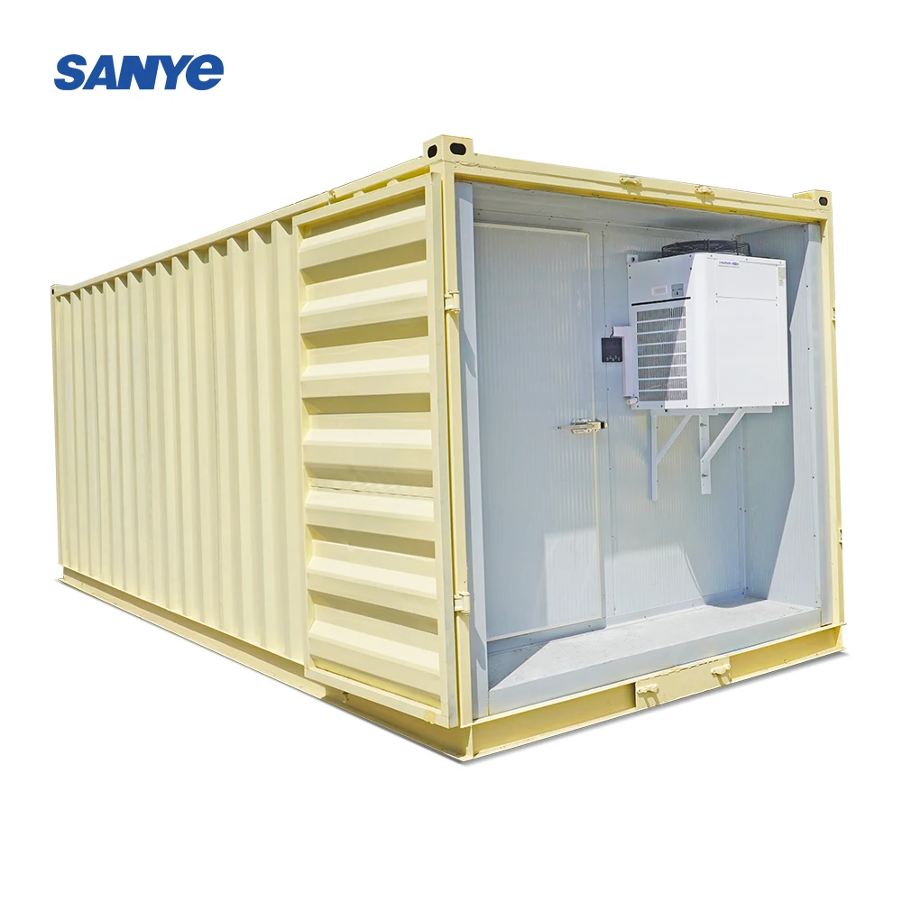 20FT 40HQ Walk in Freezer Storage Container Cold Room|