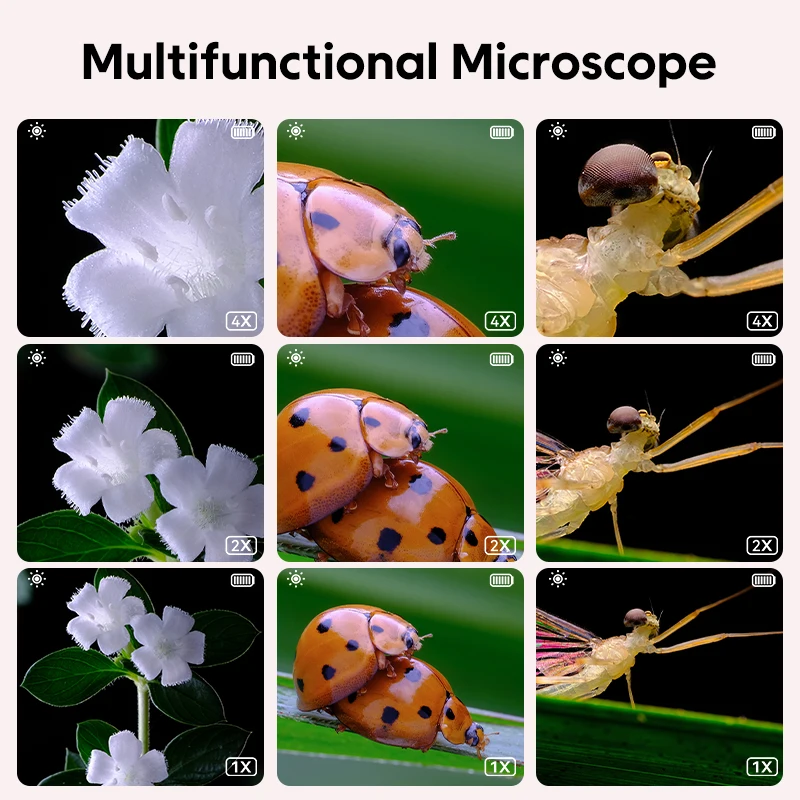 355 500x Zoom Kids Portable Microscope Pocket Handheld Mini Microscope Kids Microscopes for 8-12 Years Old