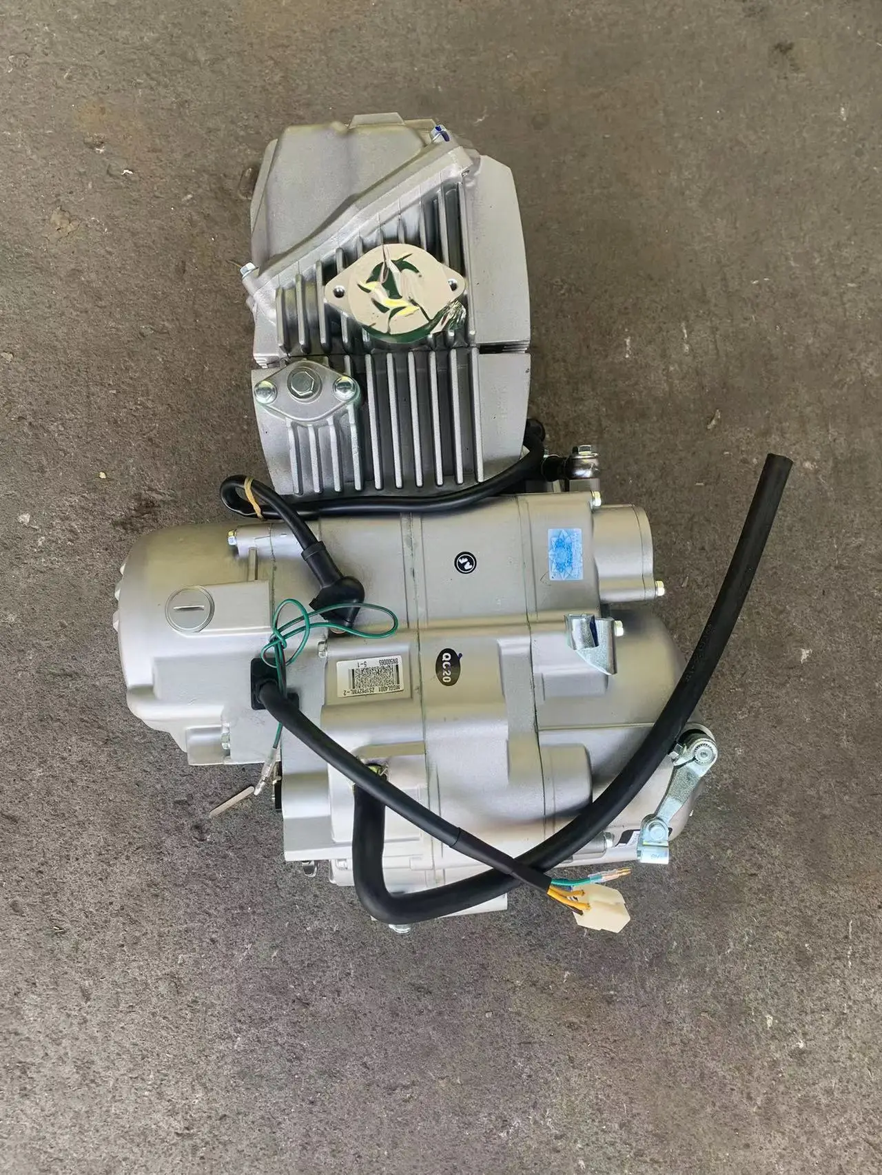 ZS1P62YML-2 W190 Zongshen Engine Zs190 Motorcycle Engine Assembly