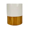 Taza