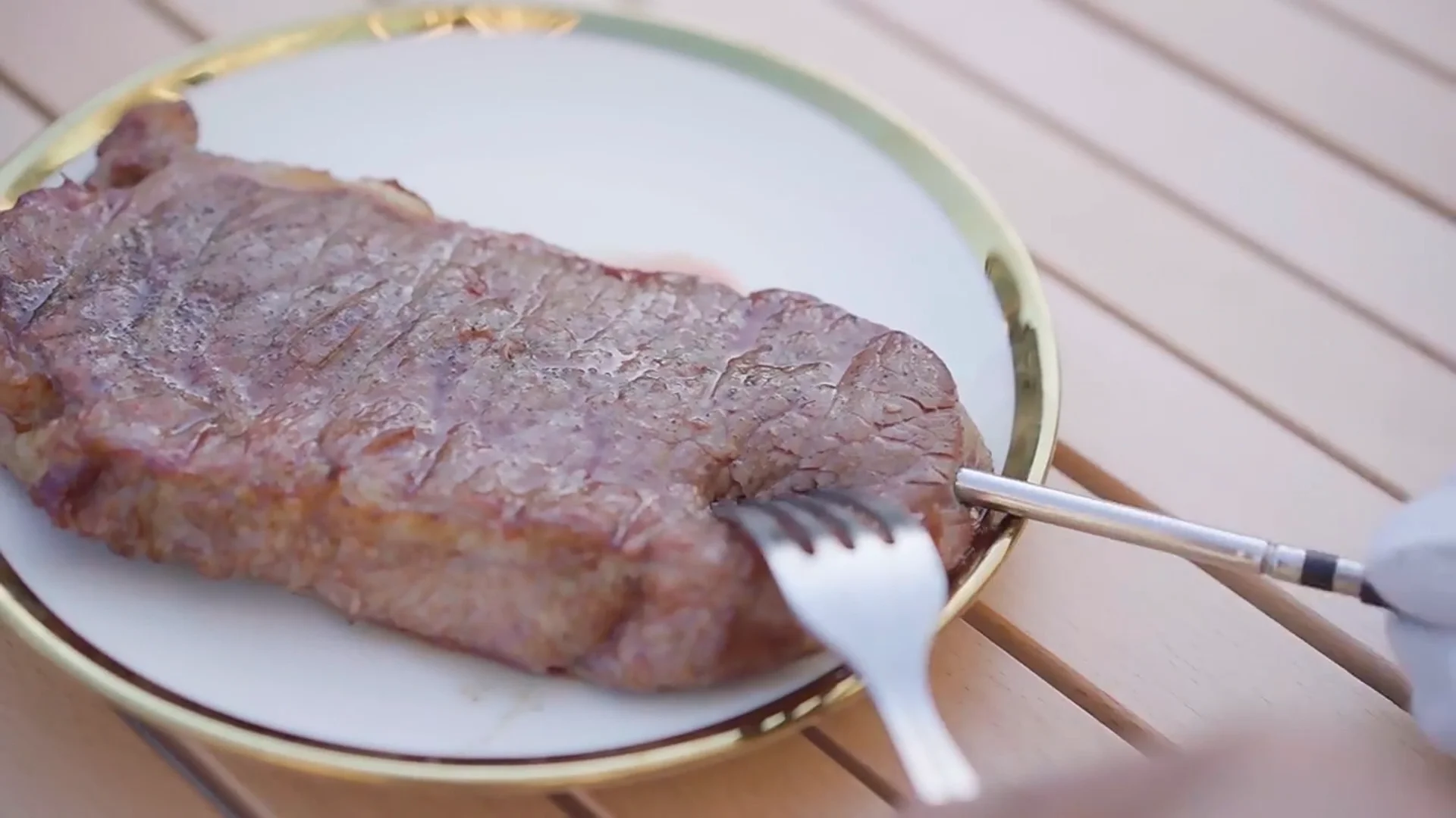 Phoneconnected Wireless Oven Thermometer Wireless Digital Meat