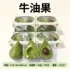 Building block avocado-window view box