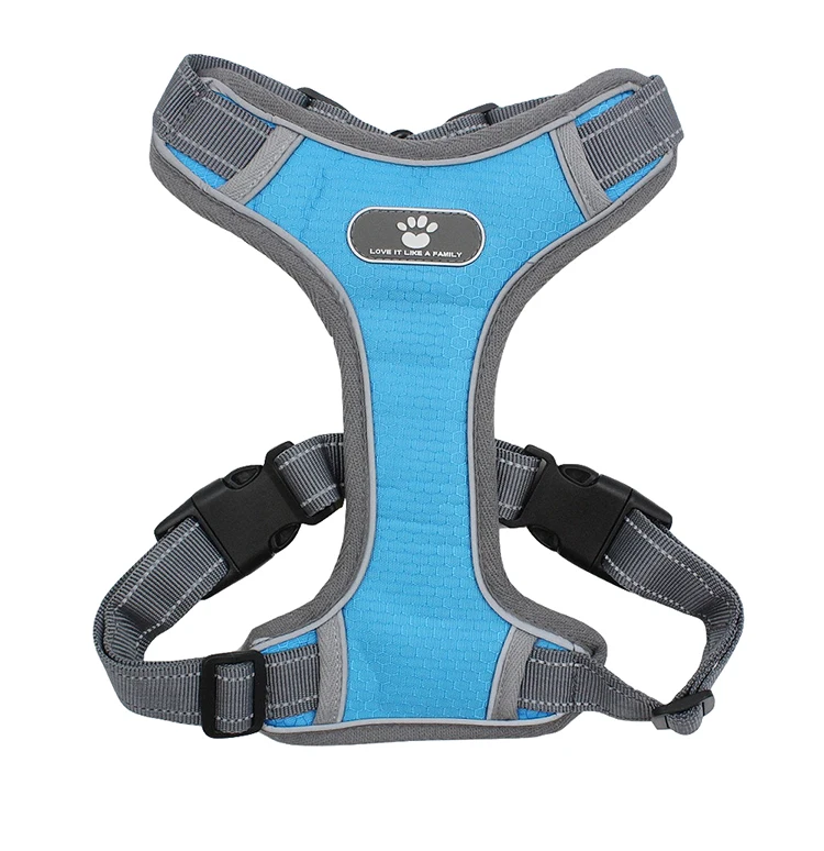 decorative dog harness