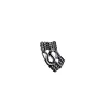 Anillo de dragón negro