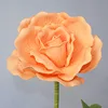สีเหลือง