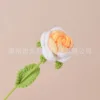 กุหลาบไล่สีเหลือง