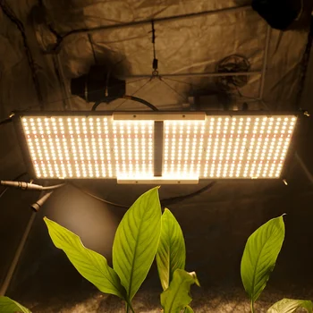 Meiju Samsung LM301B 240W Full Spectrum LED Grow Light for Medical