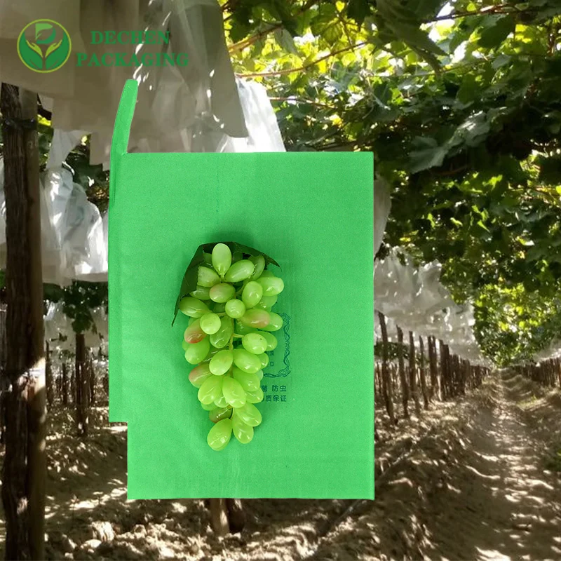 Grape Bags For Sale Fruits Cover Bags Peru Chile