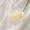 สี11