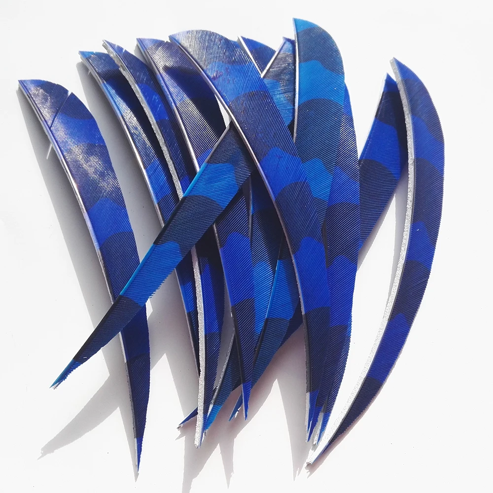 172491_6 172491_6