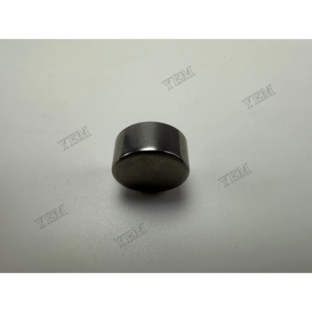 3000424302 Valve Cap for Mitsubishi S12H Engine Repair Kit 2